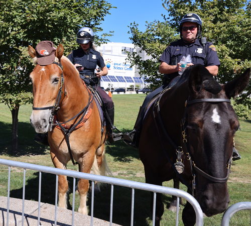 Even the horse is a Browns fan